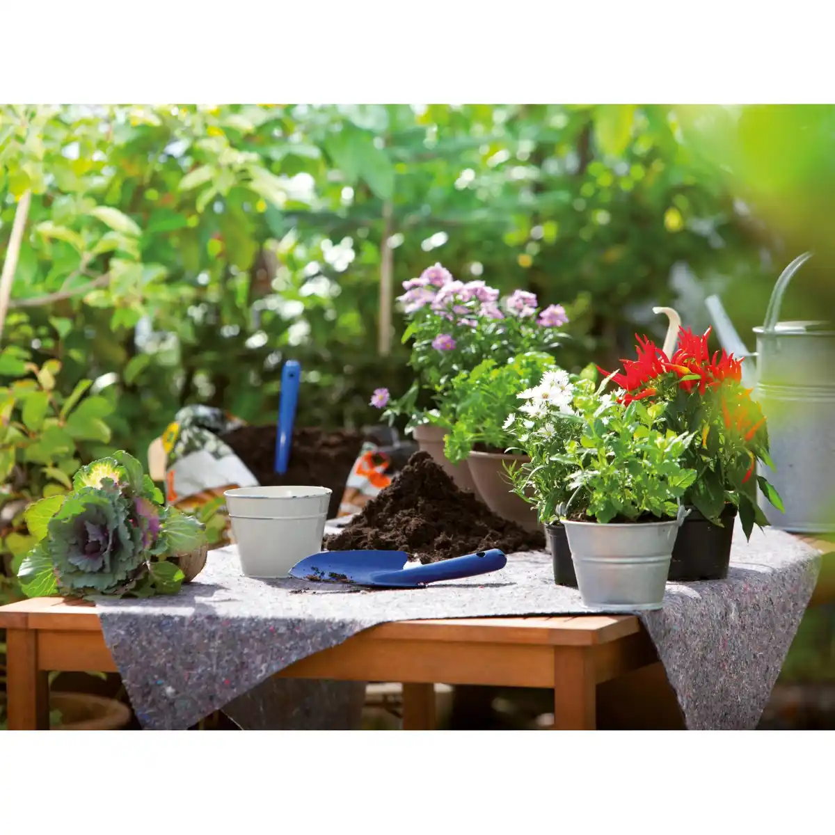 Bild 3 von Abdeckvlies 2 m x 1 m 4 Stück