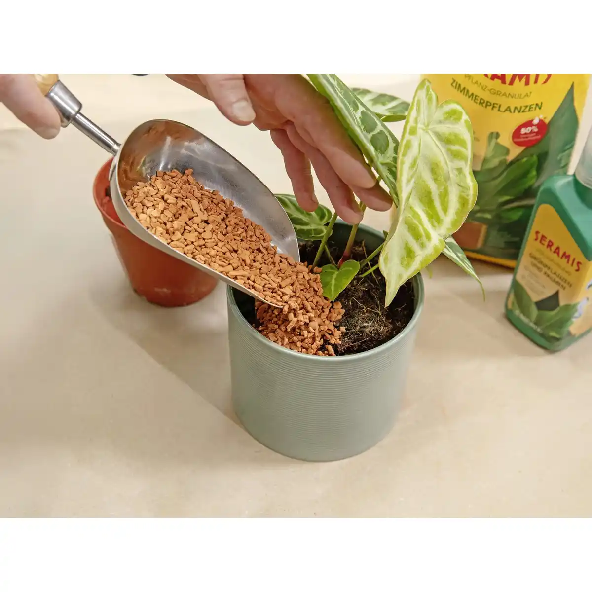 Bild 2 von Seramis Pflanzgranulat für Zimmerpflanzen 18 l Aktionspackung 20% gratis