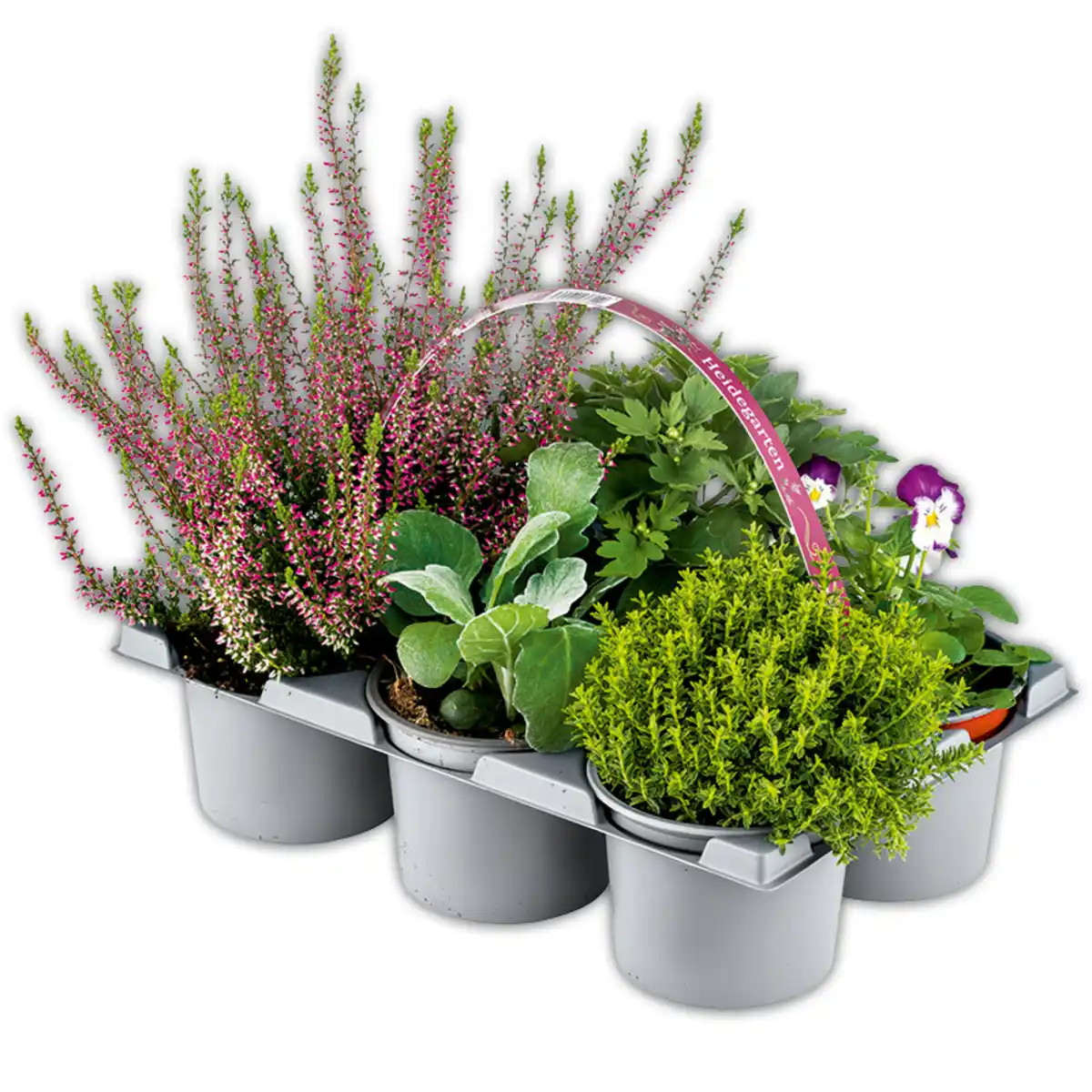 Bild 1 von Heidegarten Mix