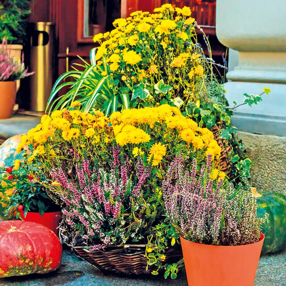 Bild 2 von Heidegarten Mix