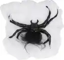 Bild 1 von Deko-Spinnennetz