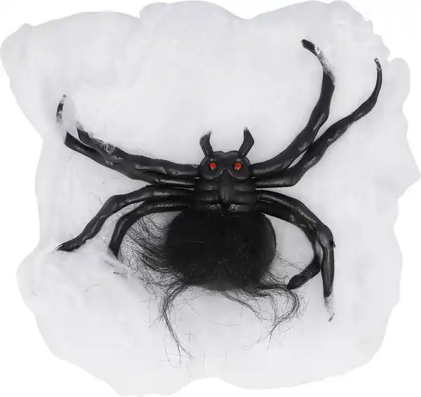 Bild 1 von Deko-Spinnennetz