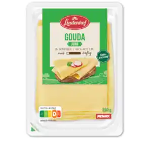 LINDENHOF Gouda