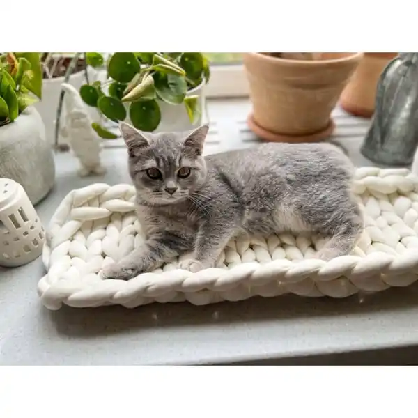 Bild 2 von Aumüller Katzenbett/Fensterbankliege Grobstrick XXL beige