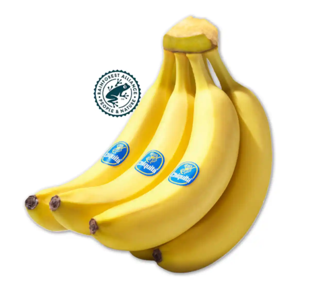 Bild 1 von CHIQUITA Bananen