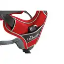 Bild 4 von Hunter Geschirr Divo rot 45-56/S