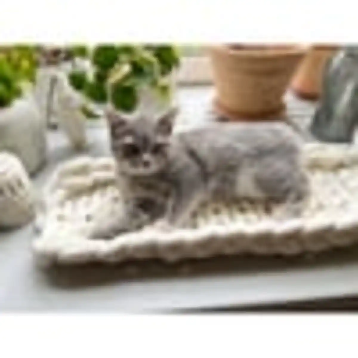 Bild 4 von Aumüller Katzenbett/Fensterbankliege Grobstrick XXL beige