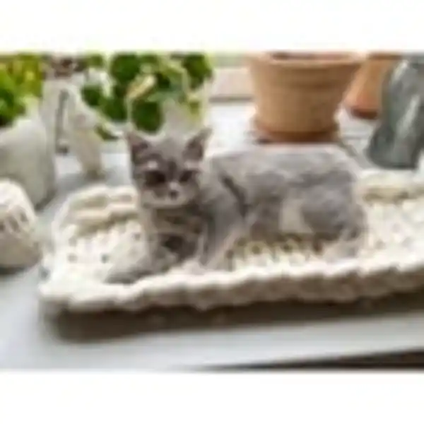 Bild 4 von Aumüller Katzenbett/Fensterbankliege Grobstrick XXL beige