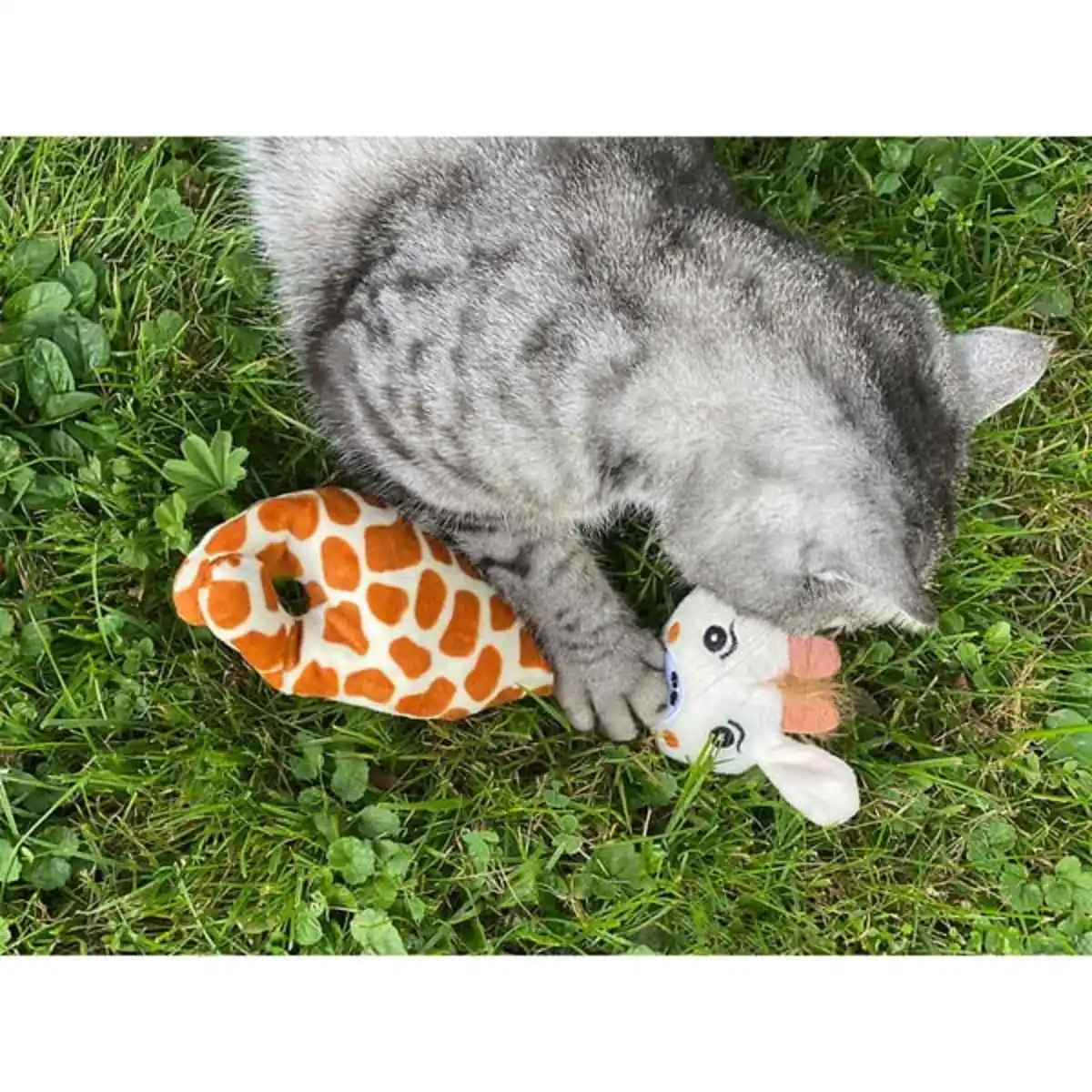 Bild 4 von Aumüller Giraffe Gina Katzspkielkissen