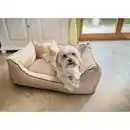 Bild 4 von Aumüller Hundebett Sofa Basic Beige 100x80x30 cm