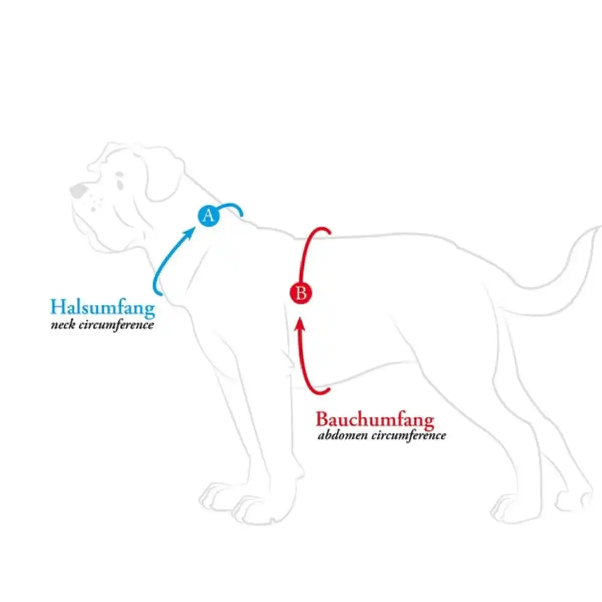 Bild 2 von Hunter Geschirr Divo Up schwarz 34-47/XS