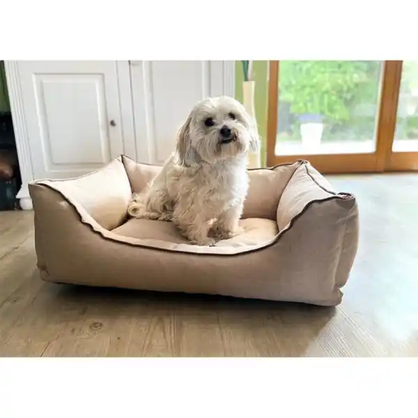 Bild 3 von Aumüller Hundebett Sofa Basic Beige 100x80x30 cm