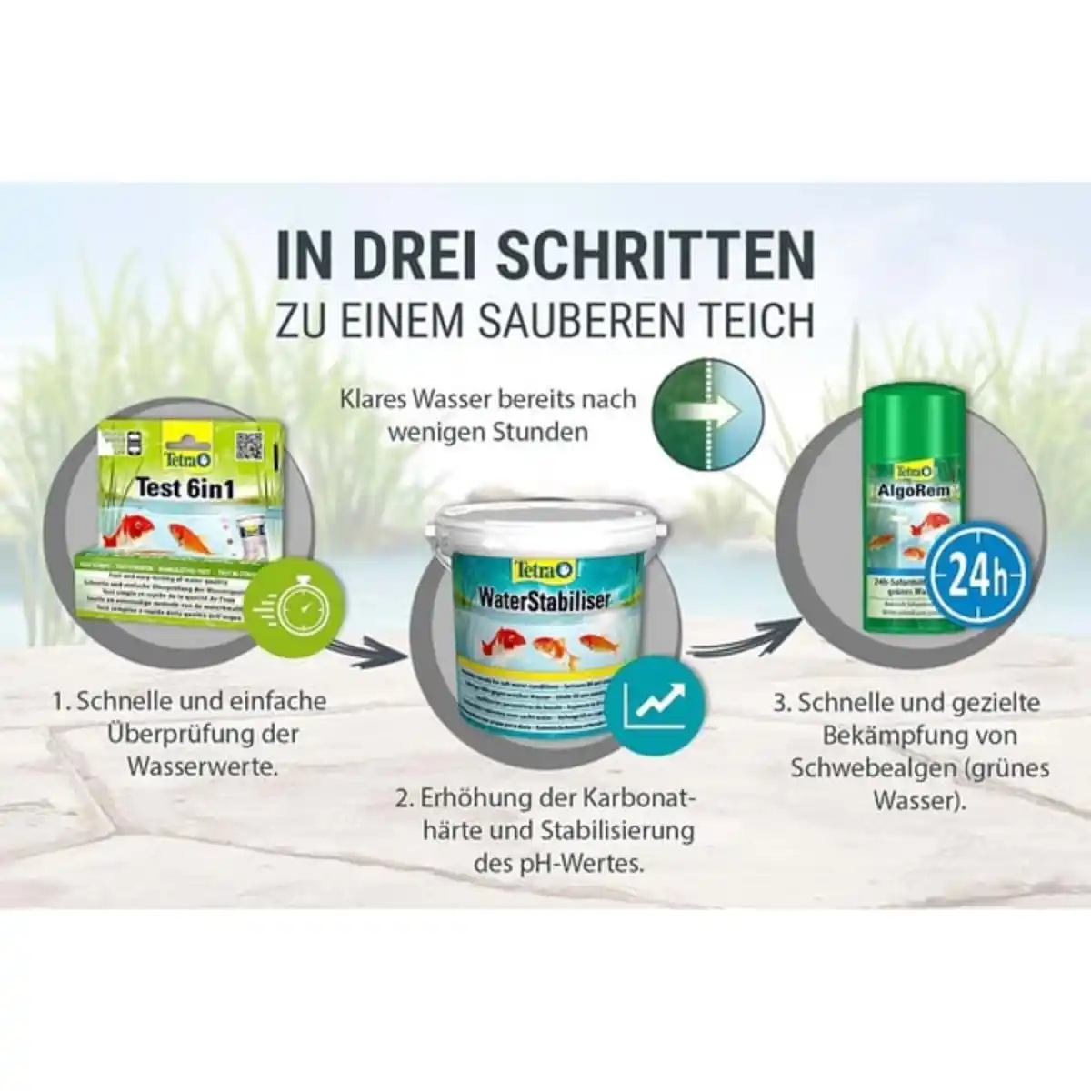 Bild 3 von TetraPond AlgoRem 3l