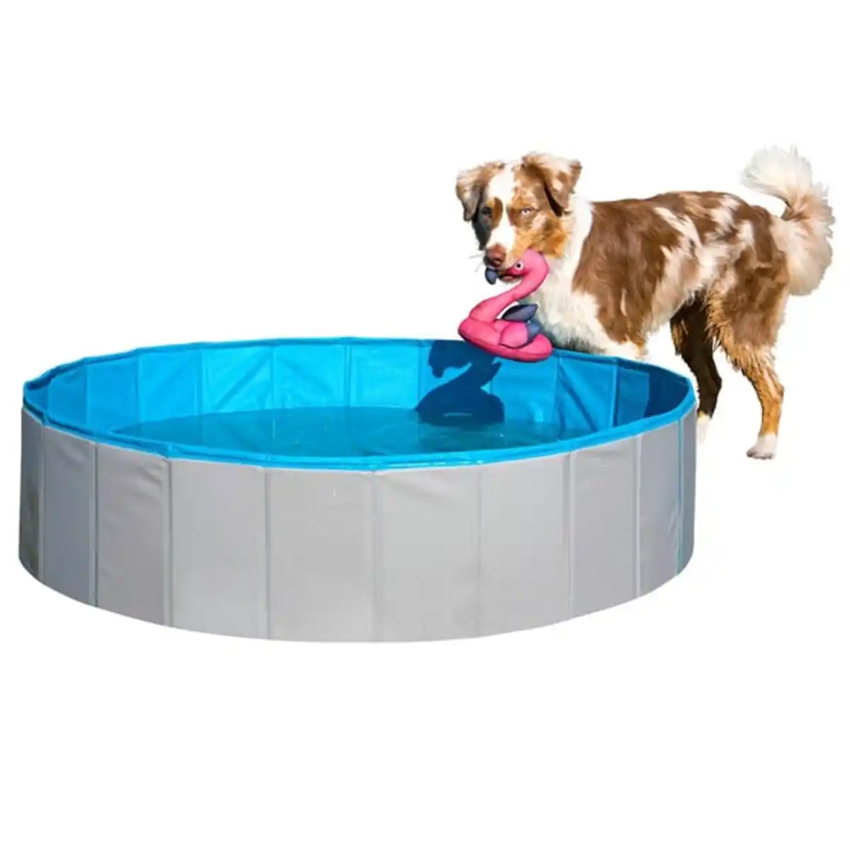 Bild 2 von ZooRoyal Hundepool 160x30cm