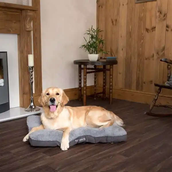 Bild 3 von Scruffs Hundekissen Cosy Mattress Grau M