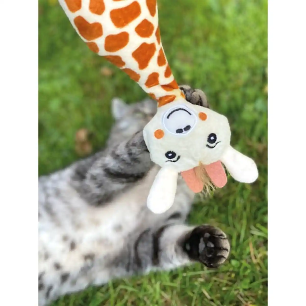 Bild 2 von Aumüller Giraffe Gina Katzspkielkissen