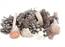 Bild 1 von Weihnachts-Natur-Mix zum Dekorieren