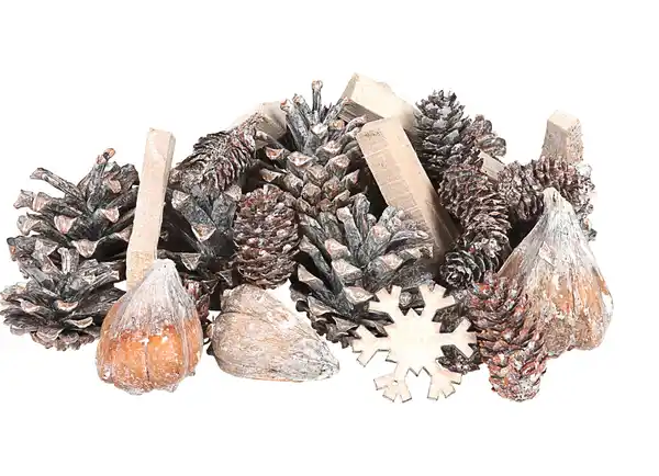 Bild 1 von Weihnachts-Natur-Mix zum Dekorieren