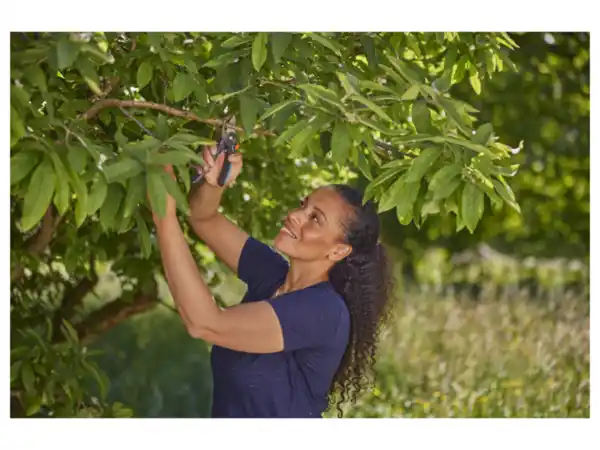 Bild 3 von Gardena Gartenschere »PremiumCut«, mit PowerCoating