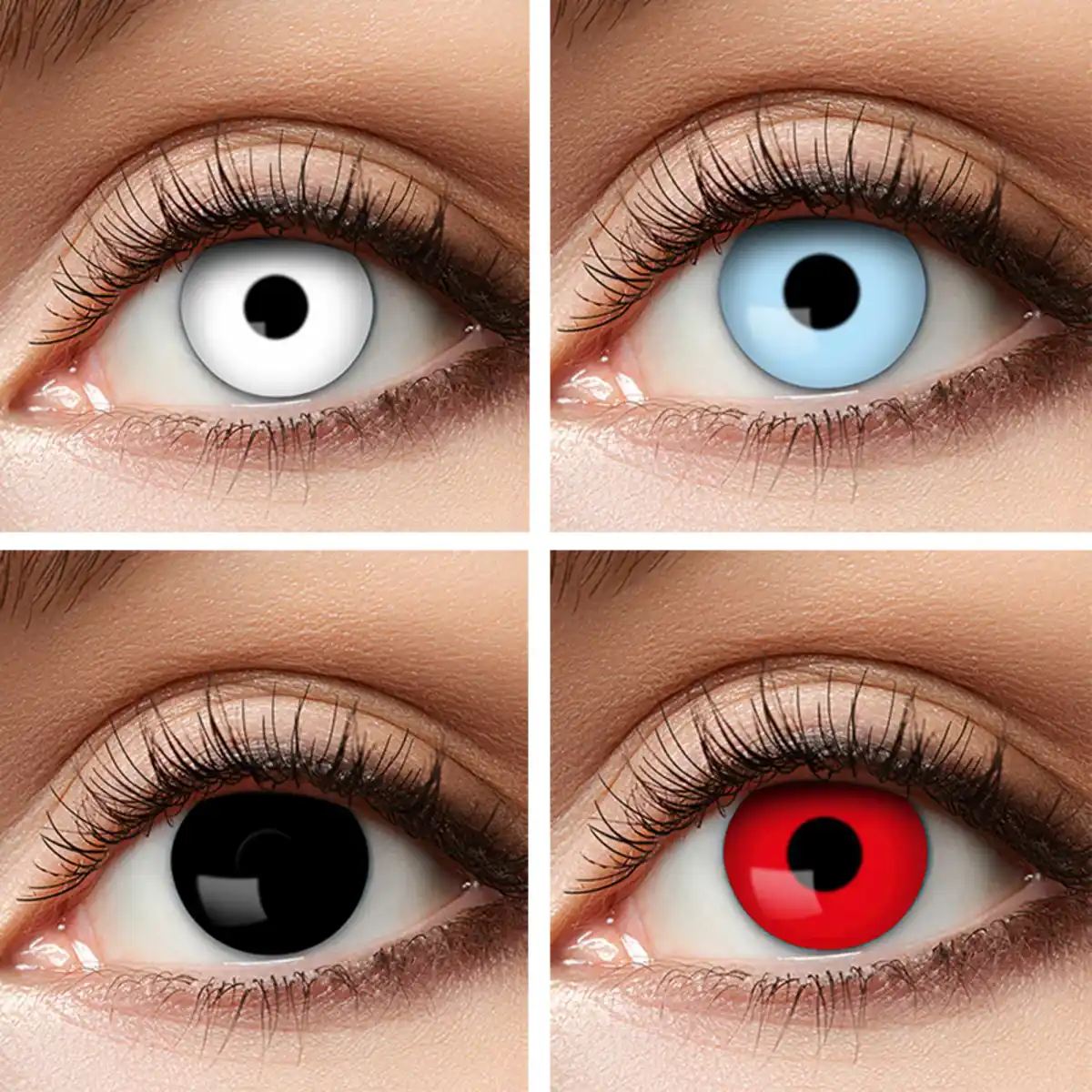 Bild 1 von Zoelibat/Catcher Halloween-Wochenlinsen