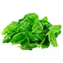 Bild 1 von Blattspinat