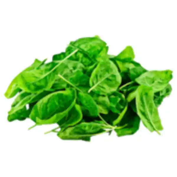 Bild 1 von Blattspinat