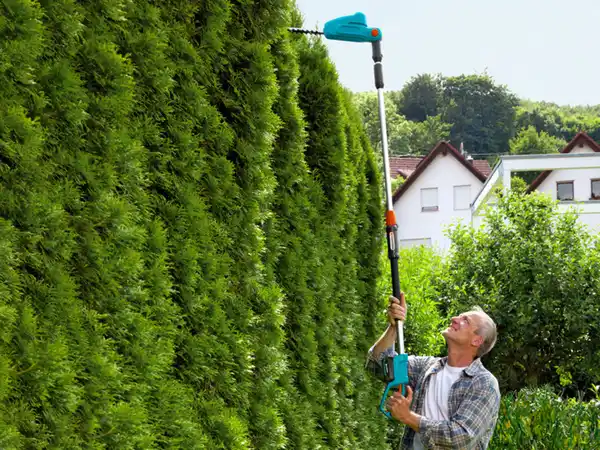 Bild 2 von Gardena Akku-Teleskop-Heckenschere »THS 42/18V Power For All«, Ready-To-Use Set