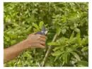 Bild 2 von Gardena Gartenschere »PremiumCut Pro«, mit Ein-Hand-Sicherheitsverschluss 