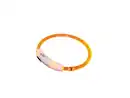 Bild 1 von Nobby LED Leuchthalsband Visible transparent orange für Hunde mit kurzem Fell