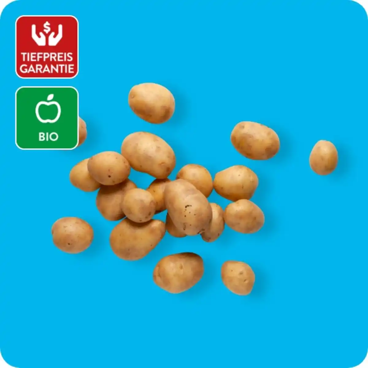 Bild 1 von NUR NUR NATUR Bio Speisekartoffeln, Ursprung: Deutschland