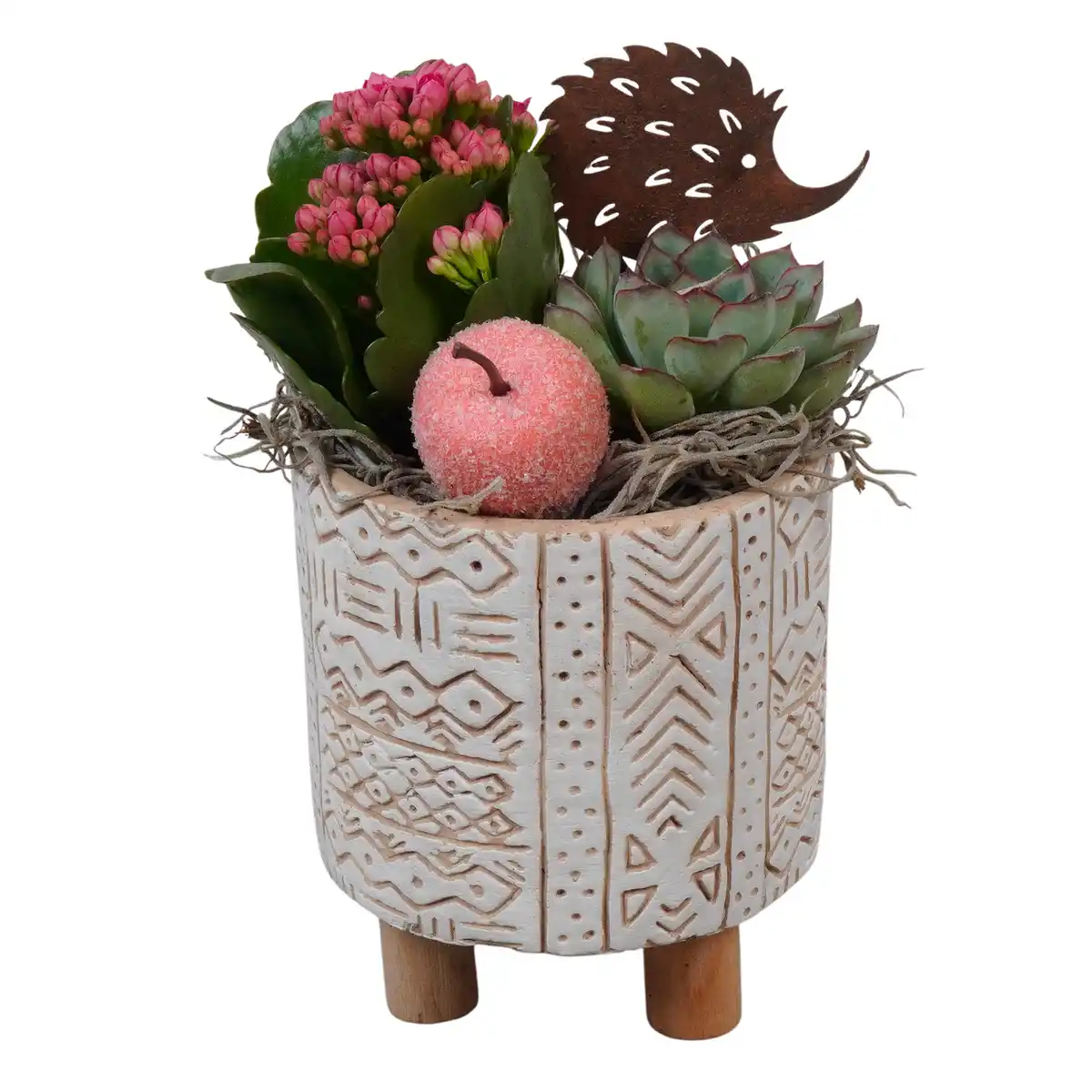 Bild 1 von Grünpflanzen in Keramik mit Füßen 11 cm Topf