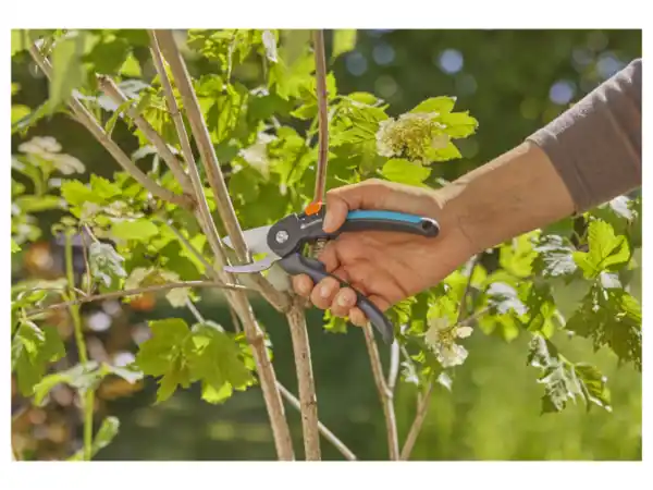 Bild 2 von Gardena Gartenschere »PremiumCut«, mit PowerCoating