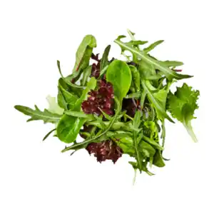 Pflücksalat 125g