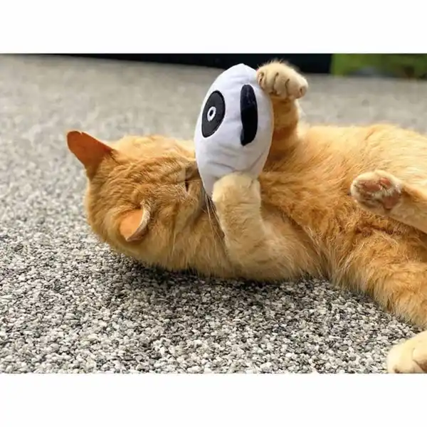 Bild 4 von Aumüller Panda Qi Katzspielzeug