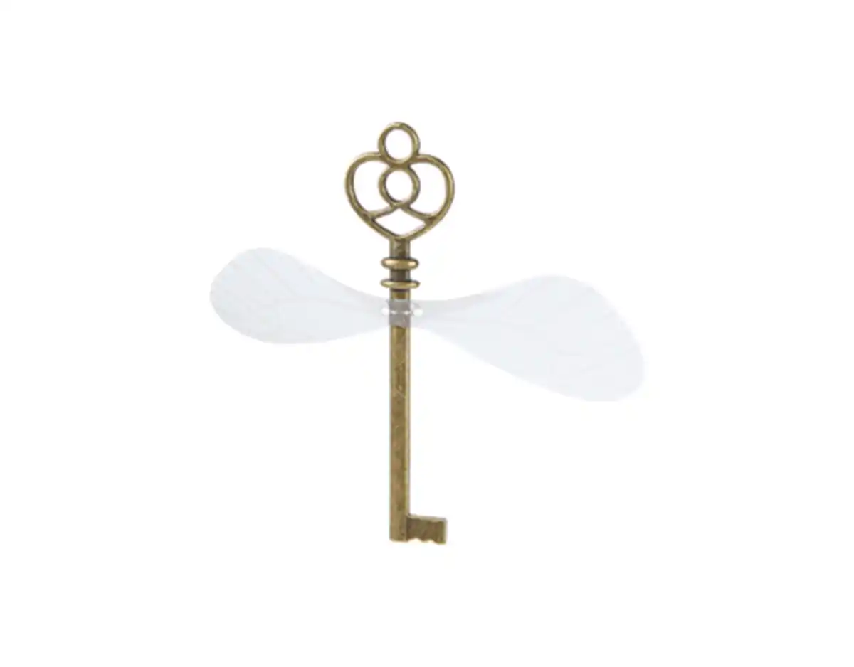 Bild 1 von Fliegende Schlüssel Bastel Set