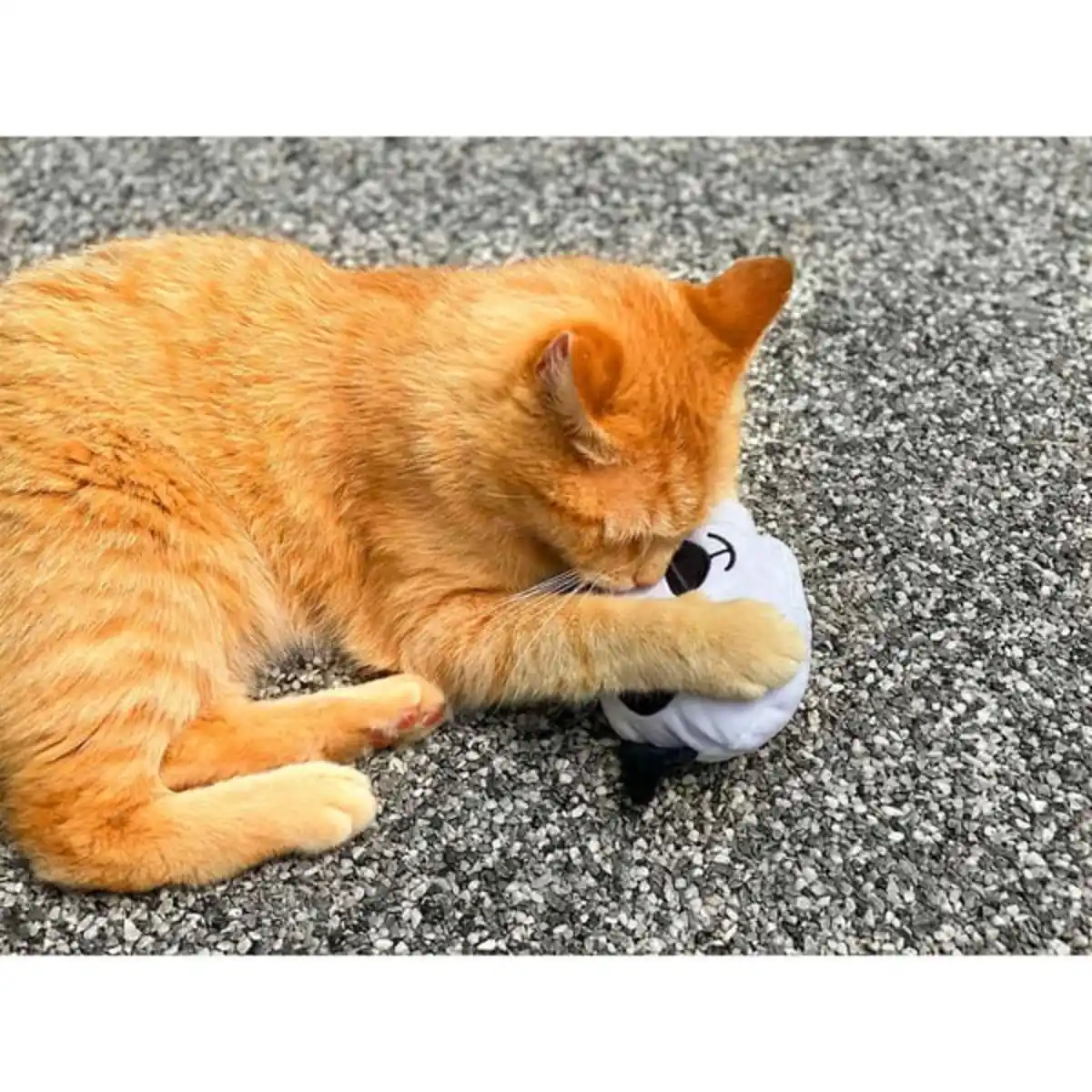 Bild 3 von Aumüller Panda Qi Katzspielzeug