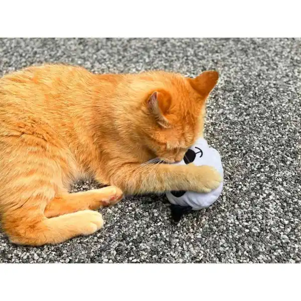 Bild 3 von Aumüller Panda Qi Katzspielzeug