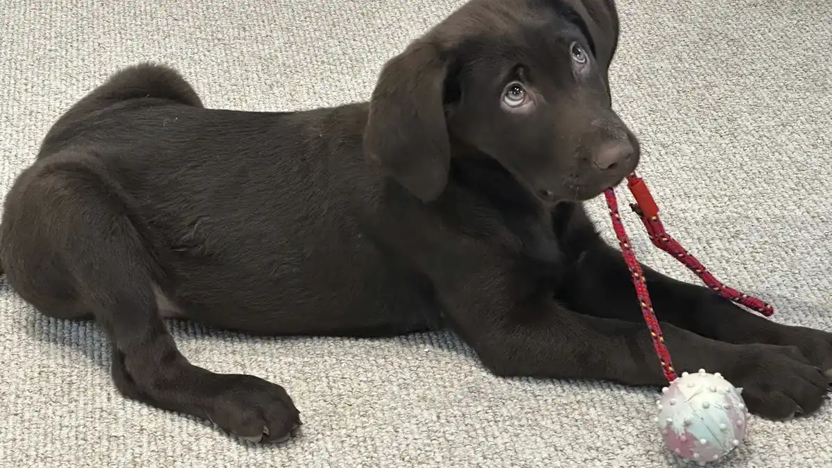 Bild 1 von Nordfriesland - Hattstedtermarsch - Nordsee Hotel Arlau Schleuse