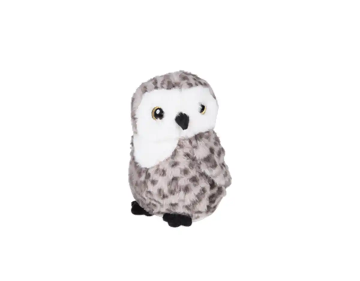 Bild 1 von Plüscheule
