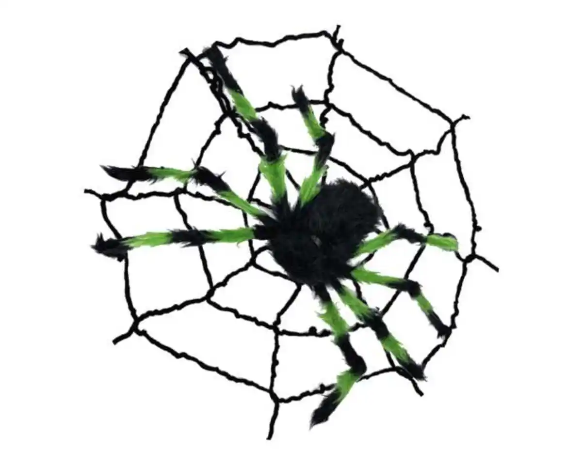 Bild 1 von Spinne m.Netz novooo, schwarz, Halloween