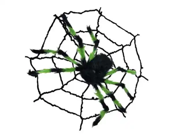 Bild 1 von Spinne m.Netz novooo, schwarz, Halloween