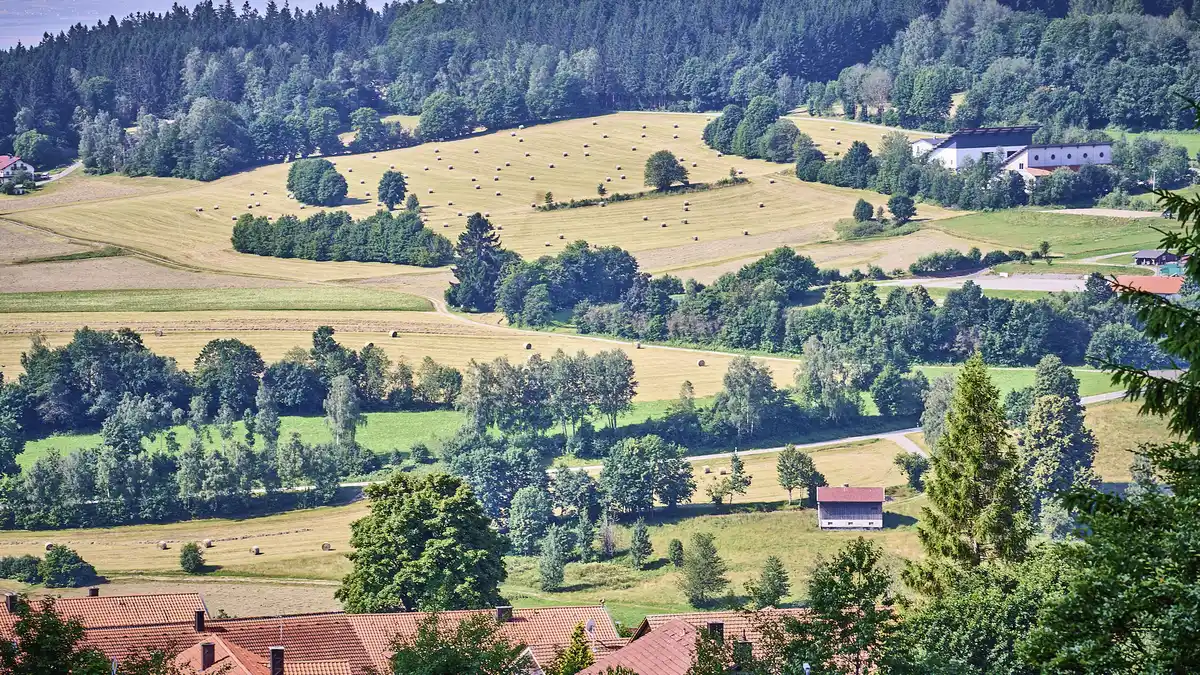 Bild 1 von Bayerischer Wald - St. Englmar - Predigtstuhl Resort