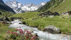 Österreich - Tirol - Zillertal - Hippach - Hotel Alpina