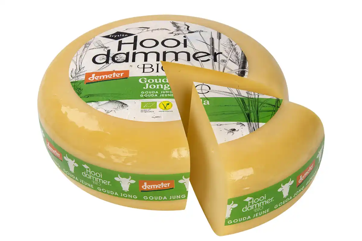 Bild 1 von Gouda jung