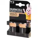 Bild 1 von Duracell Everyday Alkaline Batterien 9 V
