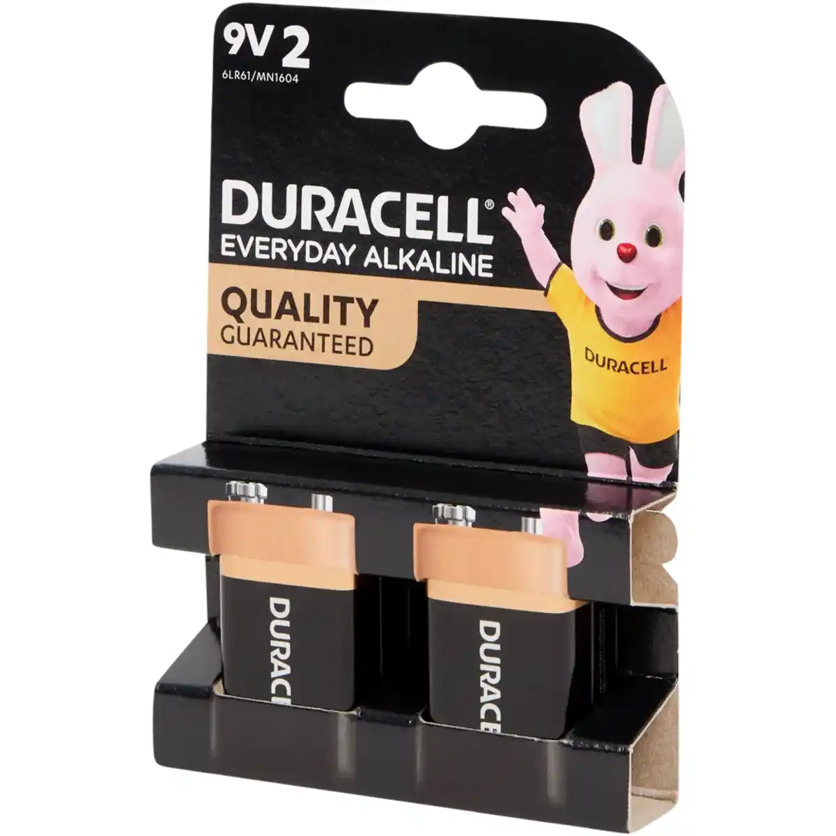 Bild 1 von Duracell Everyday Alkaline Batterien 9 V