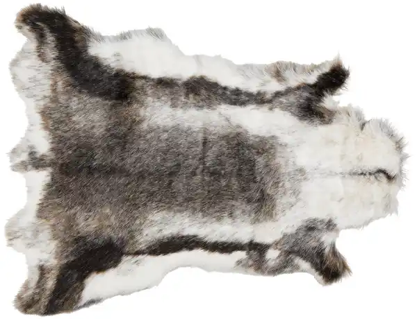 Bild 1 von Kunstfell Rudolf in Grau ca. 90x110cm, Grau