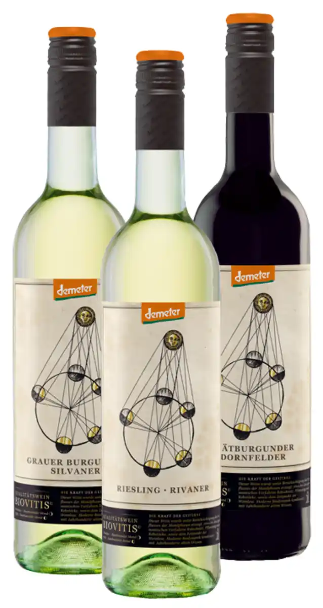 Bild 1 von Wein aus der Pfalz