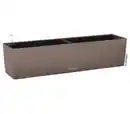 Bild 1 von LECHUZA® Kunststoff-Kasten Balconera Color, rechteckig
