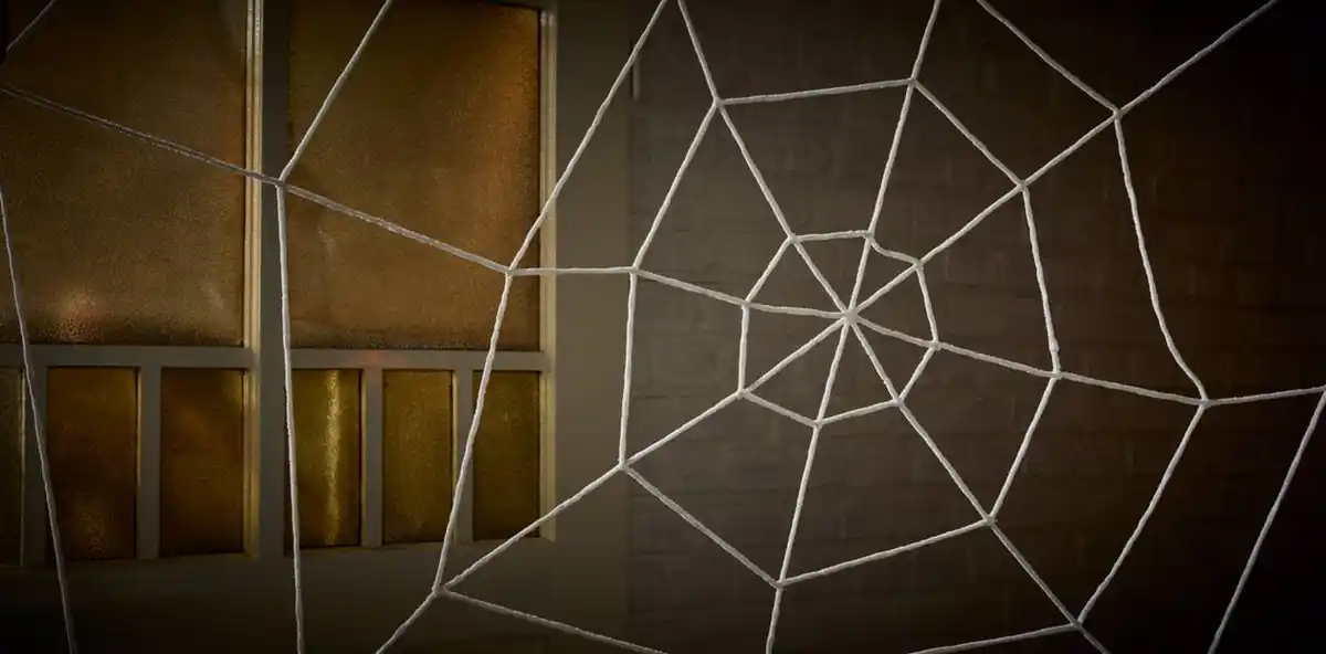 Bild 2 von Halloween-Spinnennetz